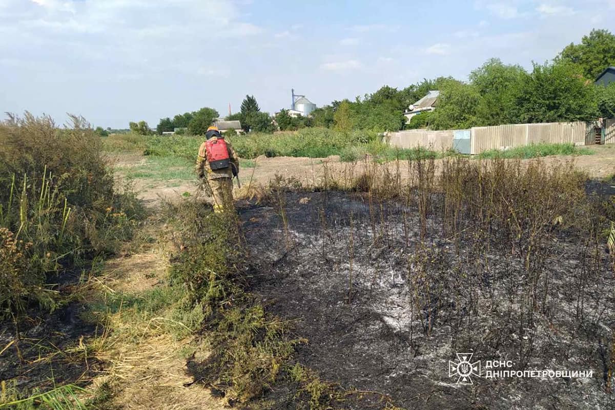 На Дніпропетровщині за добу вигоріло 149 га екосистем: фото