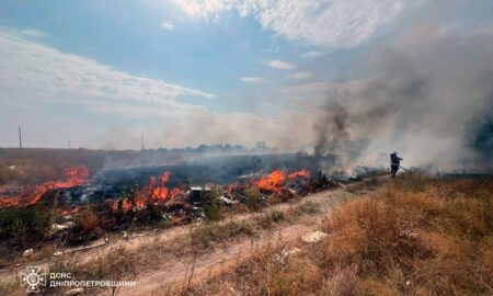 На Дніпропетровщині за добу вигоріло 35 га екосистем