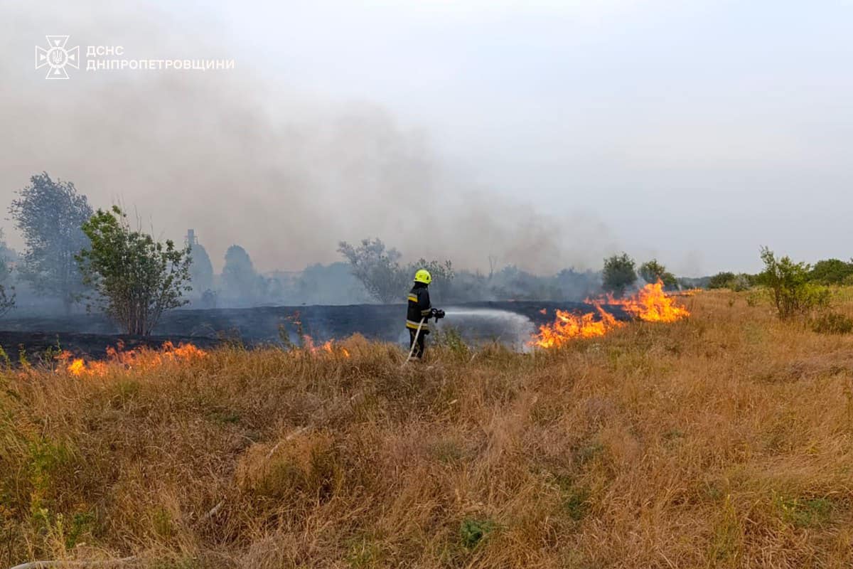 На Дніпропетровщині сталася масштабна лісова пожежа