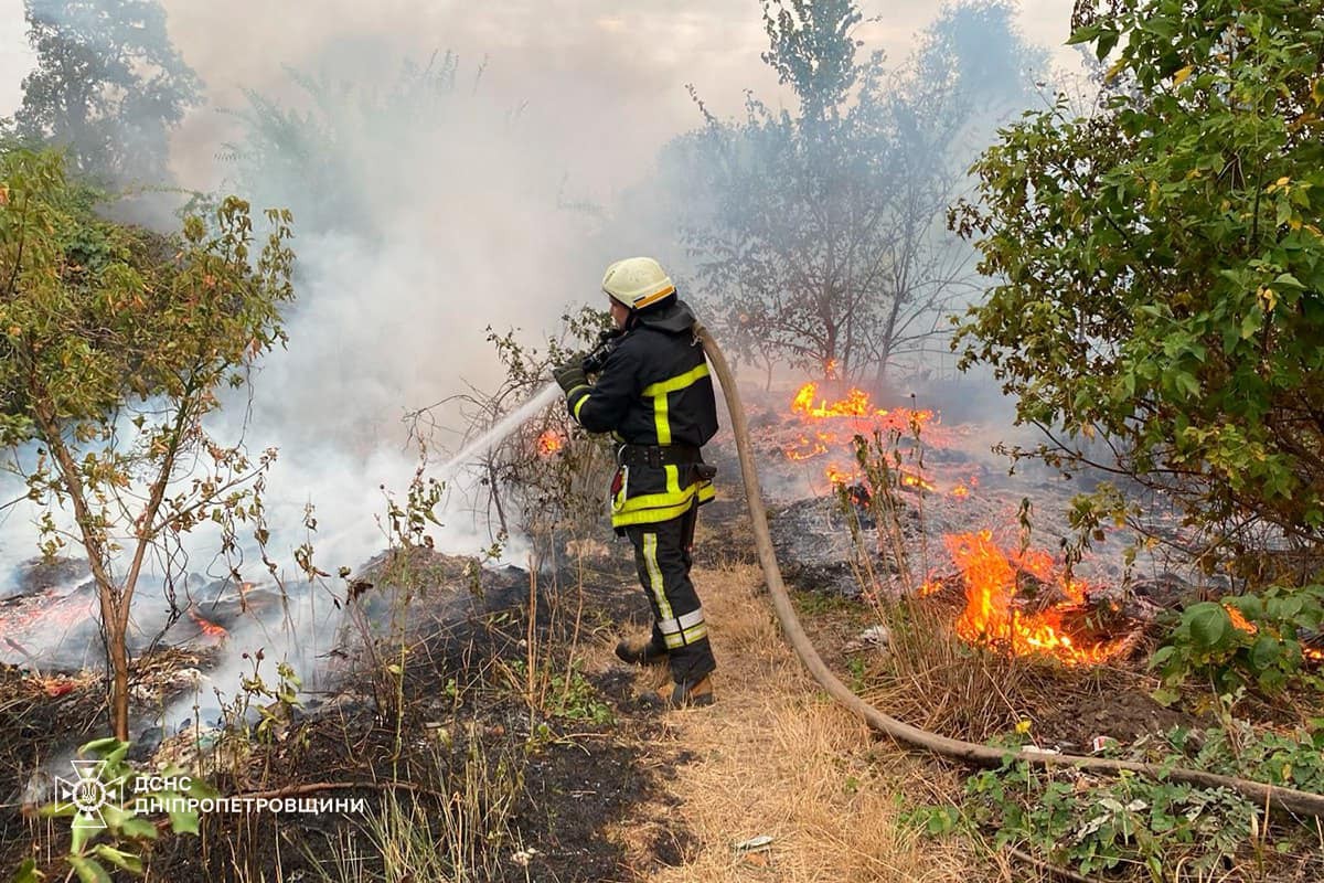 На Дніпропетровщині за добу вигоріло 35 га екосистем