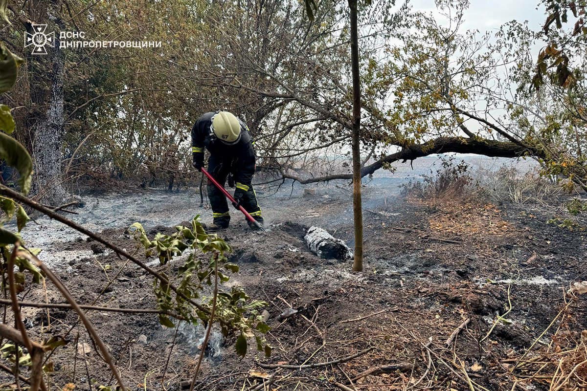 На Дніпропетровщині за добу вигоріло 35 га екосистем