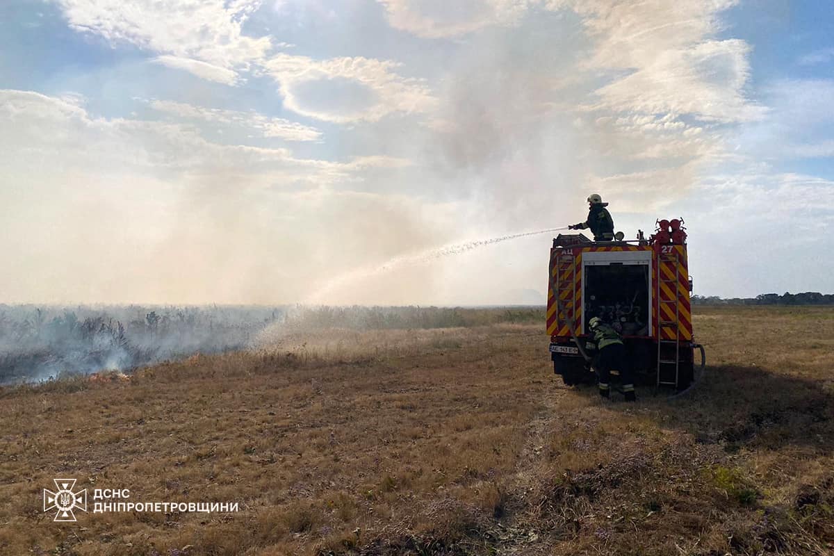 На Дніпропетровщині за добу вигоріло 149 га екосистем: фото