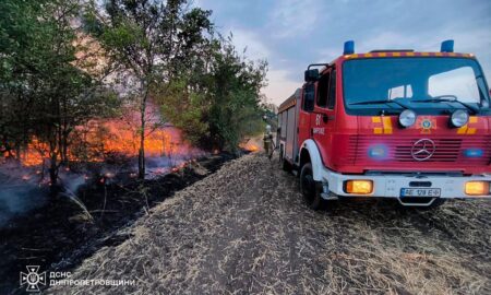 На Дніпропетровщині сталася масштабна лісова пожежа, а всього вигоріло 140 га екосистем за добу (фото)