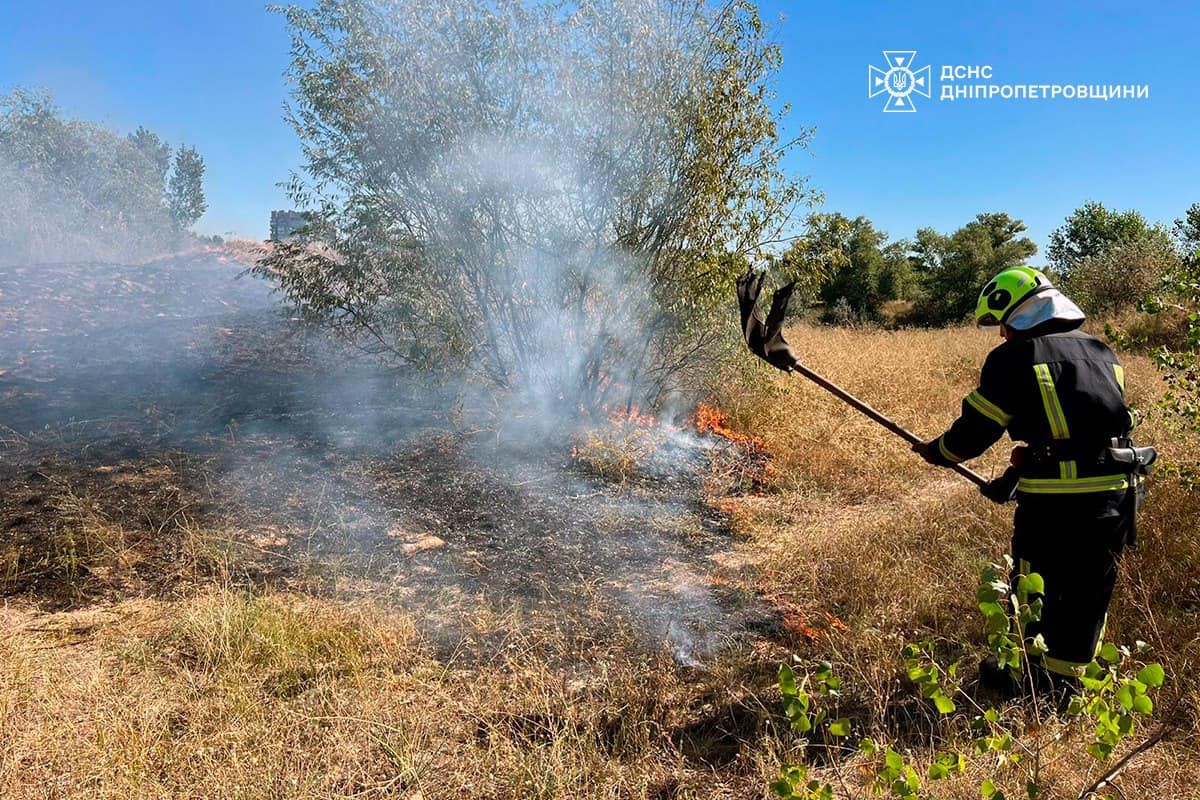 На Дніпропетровщині за добу вогонь знищив 156 га зелених насаджень, дачний будинок і авто