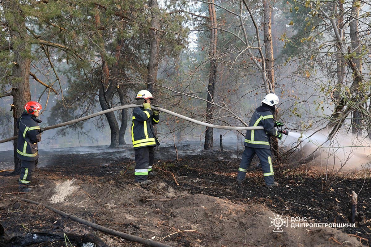 На Дніпропетровщині за добу вогонь знищив 156 га зелених насаджень, дачний будинок і авто