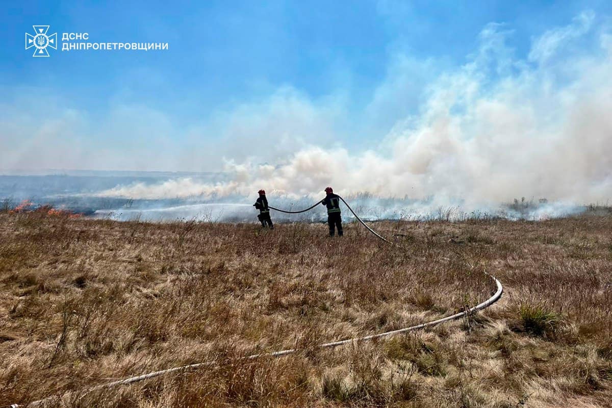 На Дніпропетровщині за добу вогонь знищив 156 га зелених насаджень, дачний будинок і авто