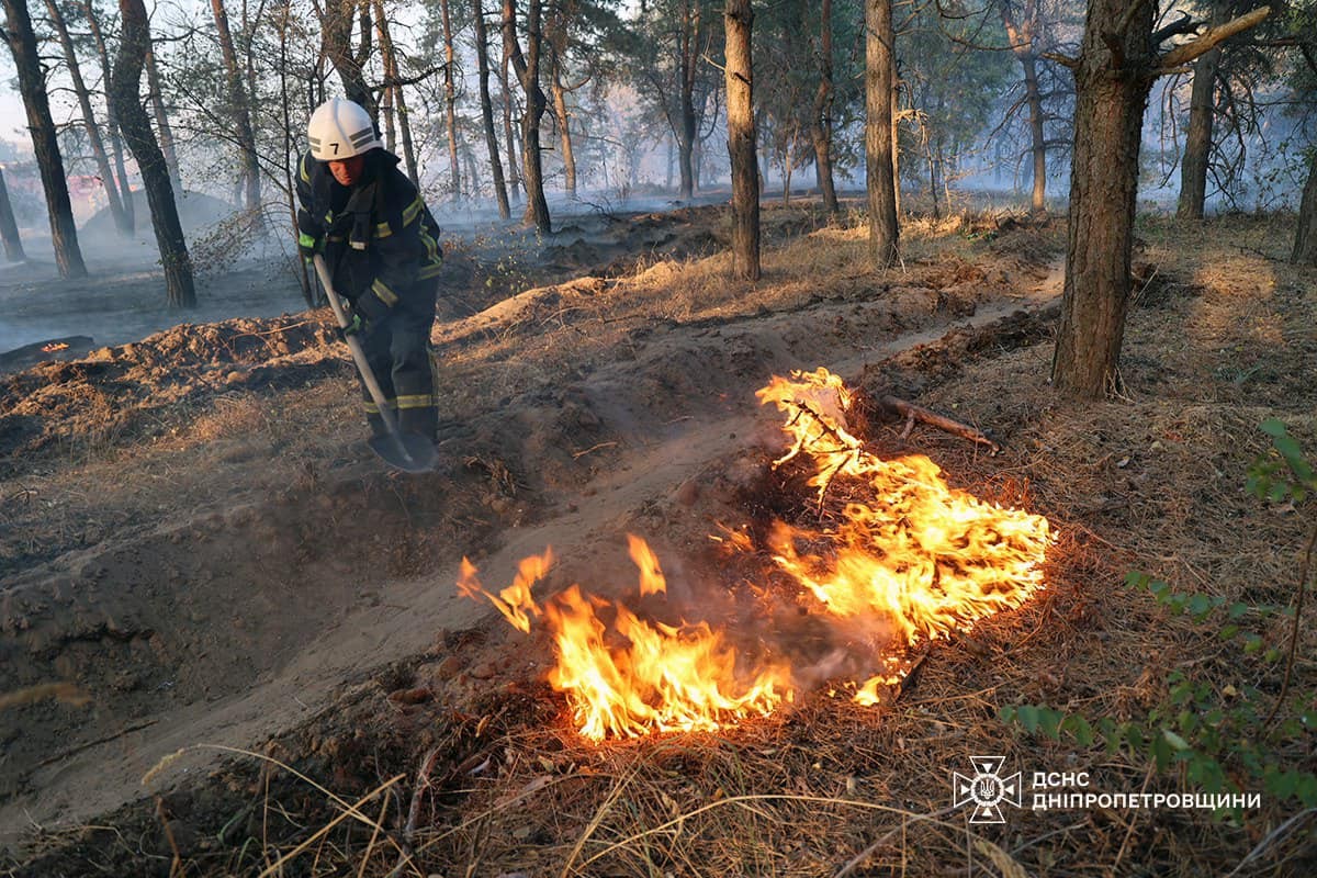 На Дніпропетровщині за добу вогонь знищив 156 га зелених насаджень, дачний будинок і авто