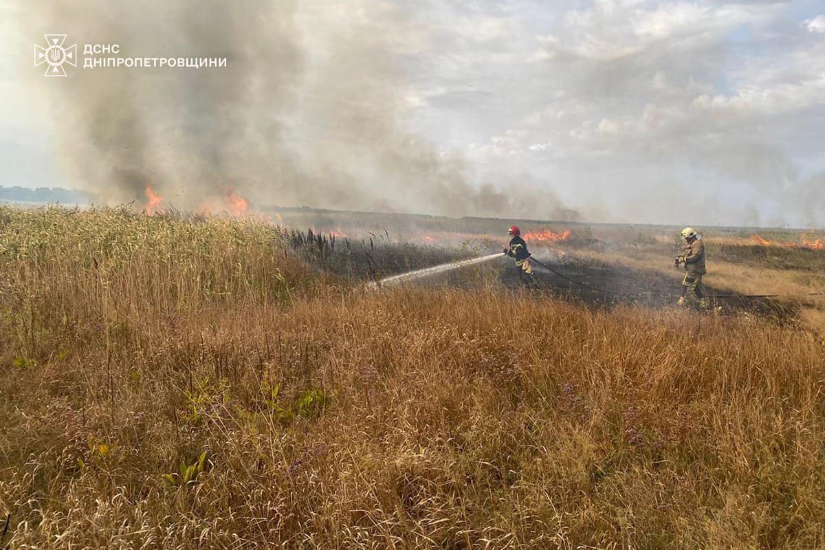 На Дніпропетровщині за добу вигоріло понад 20 га екосистем