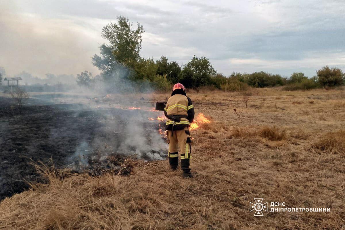 На Дніпропетровщині за добу вигоріло понад 20 га екосистем