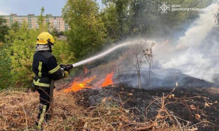 На Дніпропетровщині за добу вигоріло понад 20 га екосистем