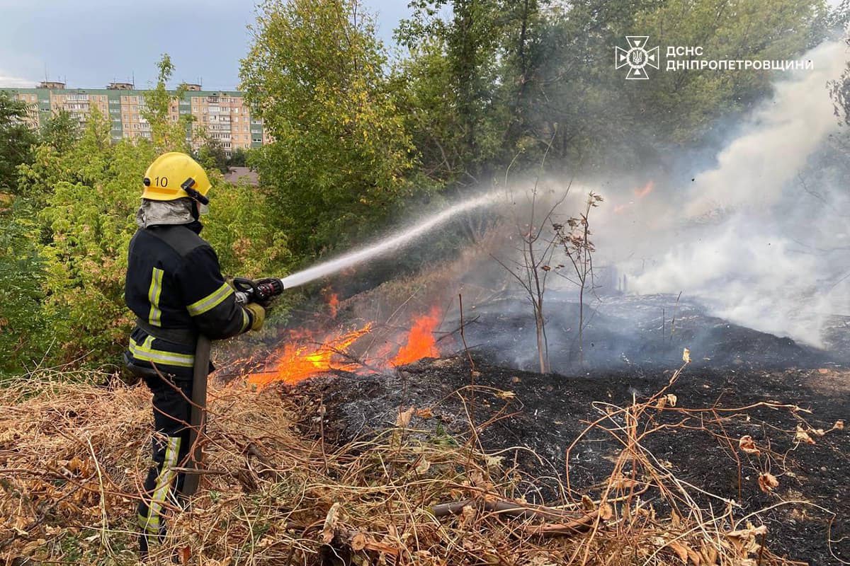 На Дніпропетровщині за добу вигоріло понад 20 га екосистем