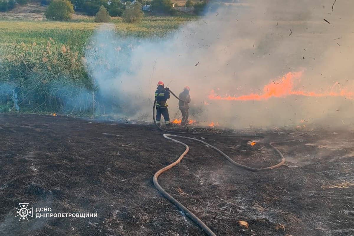 На Дніпропетровщині за добу виникла 151 пожежа в екосистемах: вогонь дістався домогосподарств: фото