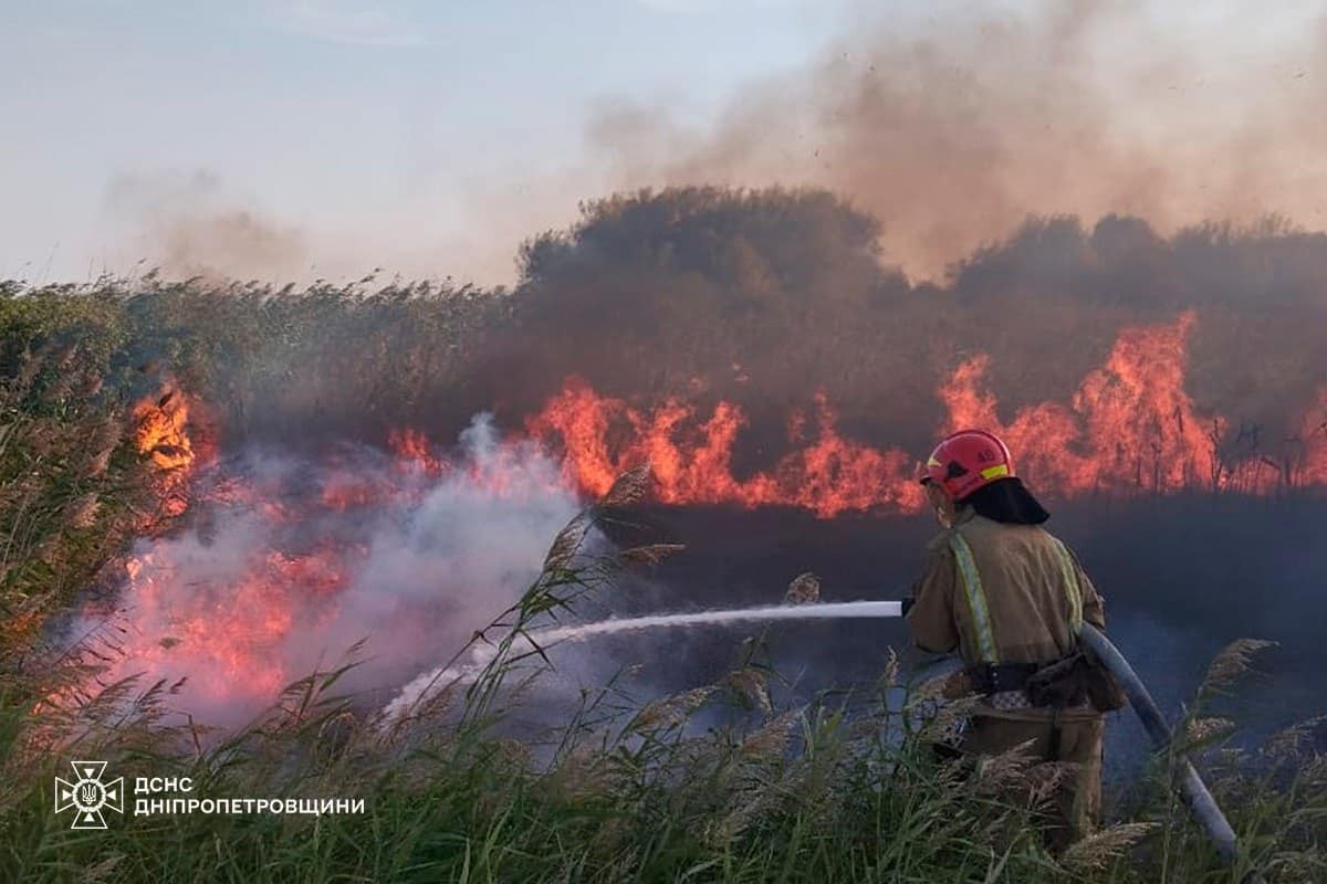 На Дніпропетровщині за добу виникла 151 пожежа в екосистемах: вогонь дістався домогосподарств: фото