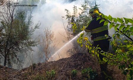 На Дніпропетровщині за добу вигоріло 38 га екосистем (фото)