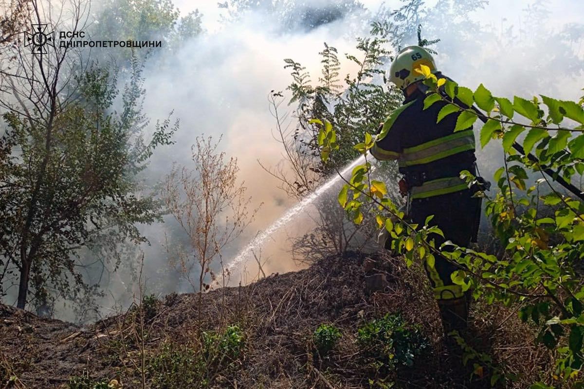 На Дніпропетровщині за добу вигоріло 38 га екосистем: фото