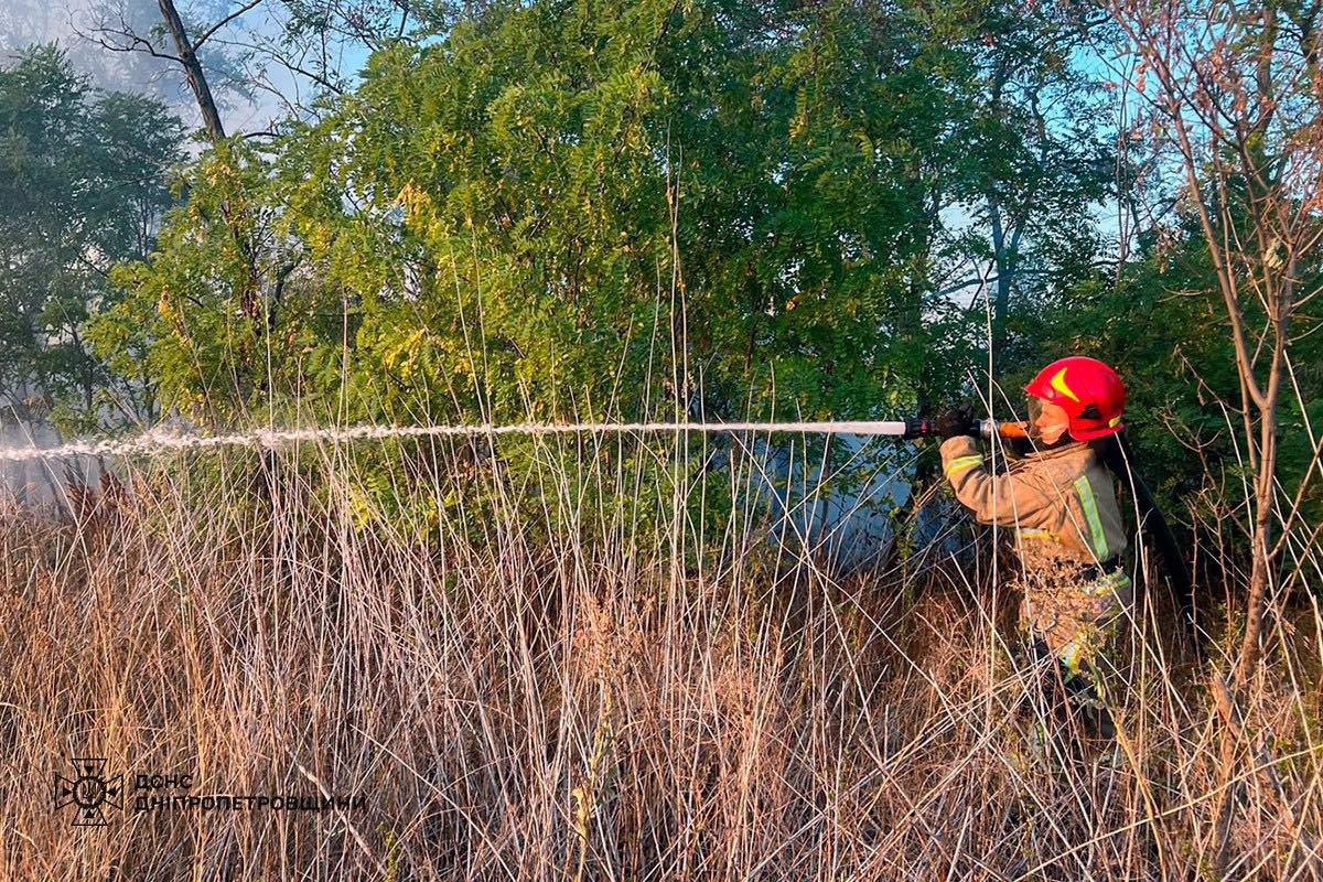 На Дніпропетровщині за добу вигоріло 38 га екосистем: фото