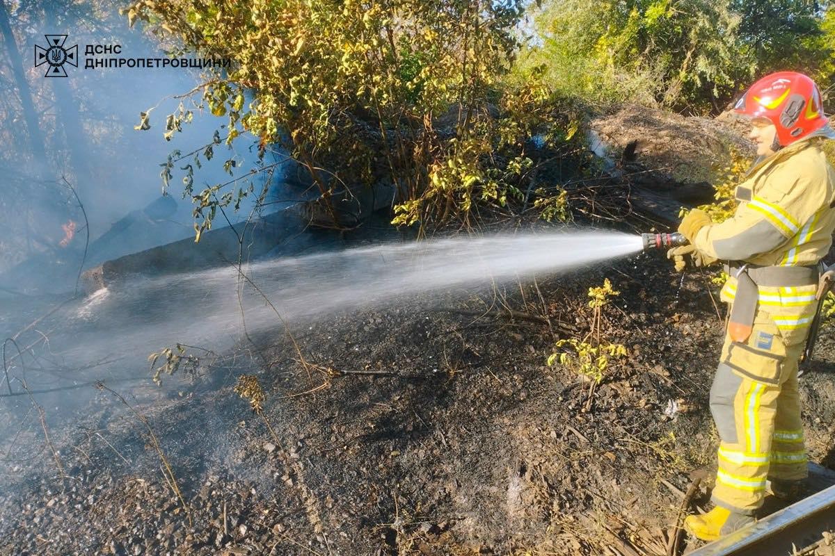 На Дніпропетровщині за добу вигоріло 38 га екосистем: фото