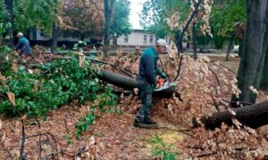 Працюють у скверах і парках: чим у Нікополі 19 вересня займаються комунальники (фото)