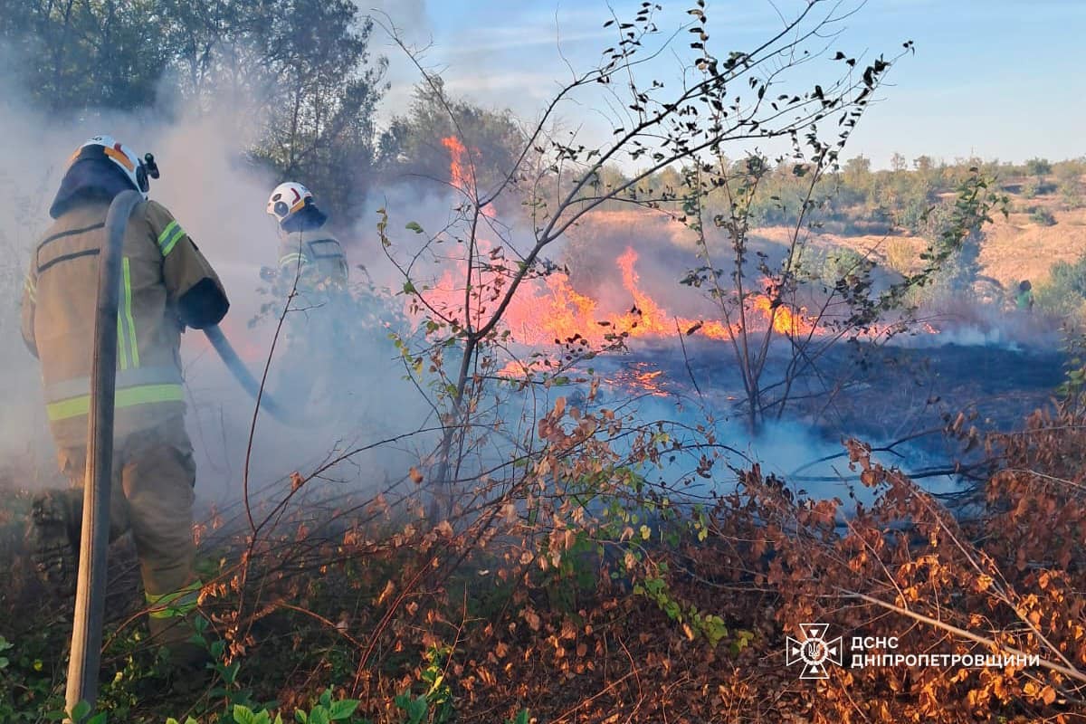 На Дніпропетровщині за добу вигоріло 26 га екосистем