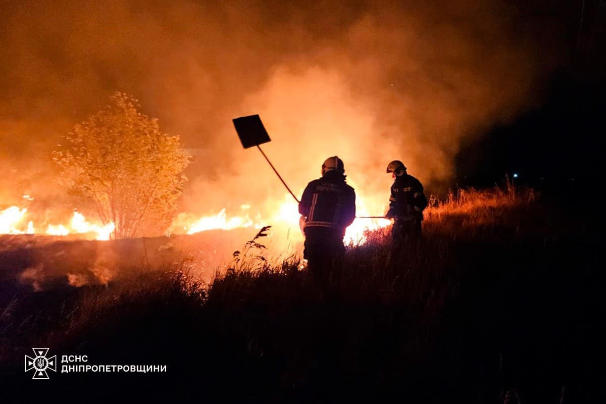 На Дніпропетровщині за добу вигоріло 26 га екосистем