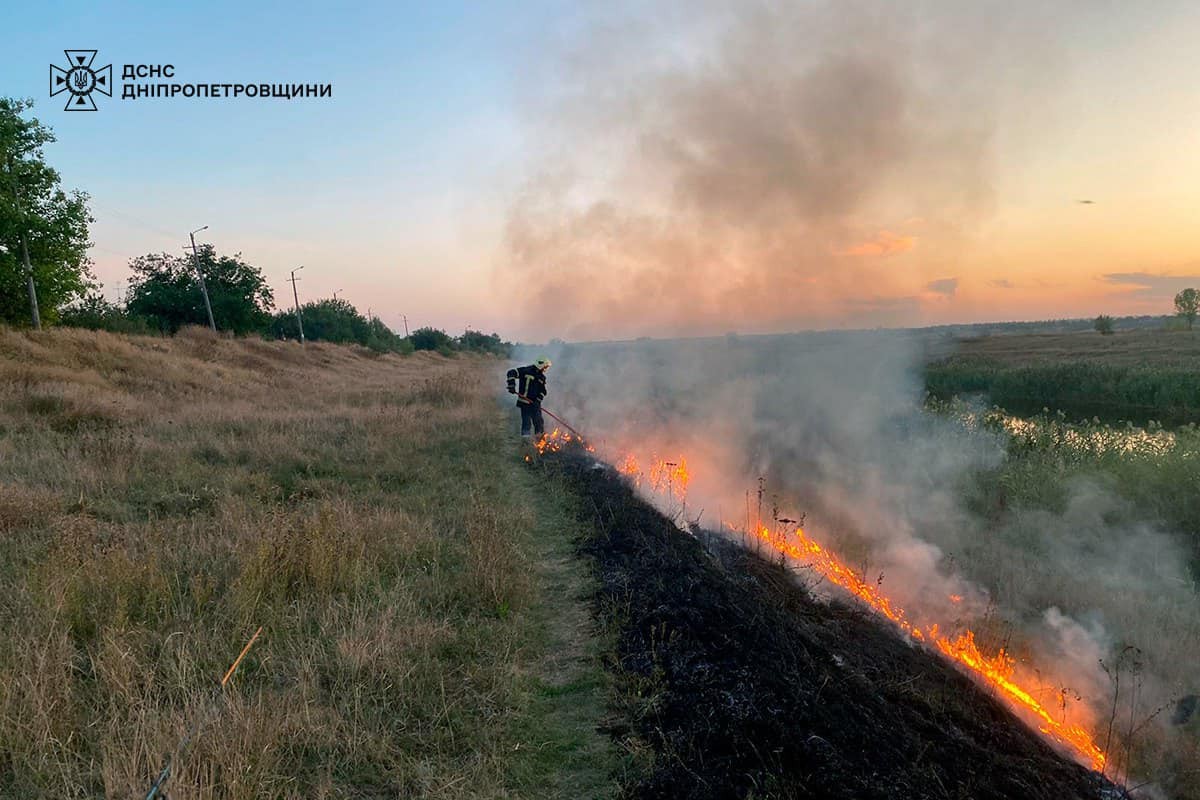 За добу на Дніпропетровщині вигоріло 30 га екосистем: фото