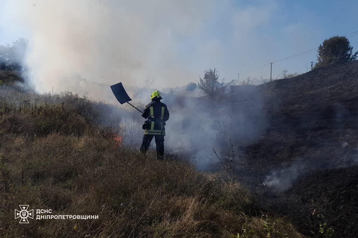 На Дніпропетровщині за добу вигоріло понад 52 га екосистем