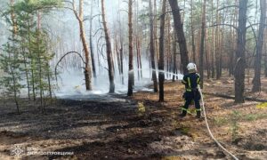 На Дніпропетровщині за добу вигоріло 38 га екосистем