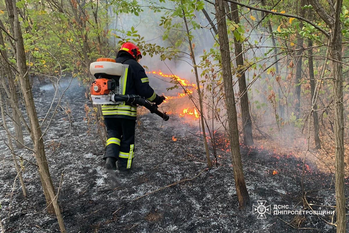 На Дніпропетровщині за добу вигоріло понад 52 га екосистем