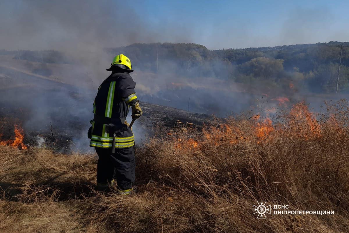 На Дніпропетровщині за добу вигоріло понад 52 га екосистем