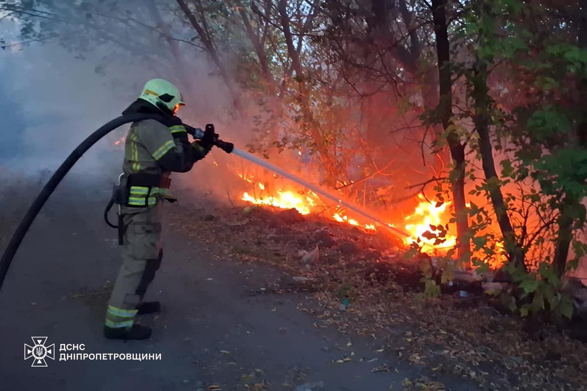 На Дніпропетровщині за добу вигоріло 53 га екосистем: фото