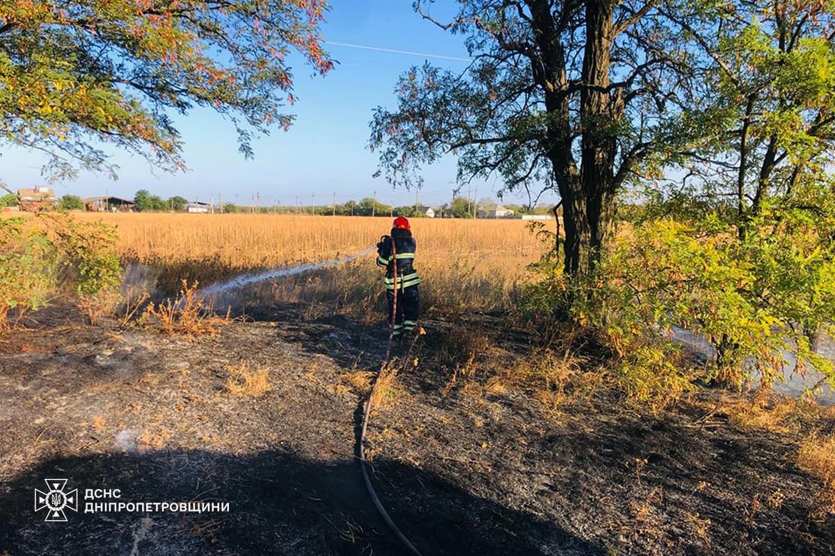 На Дніпропетровщині за добу вигоріло 53 га екосистем: фото