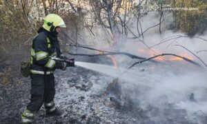 На Дніпропетровщині за добу вигоріло понад 52 га екосистем