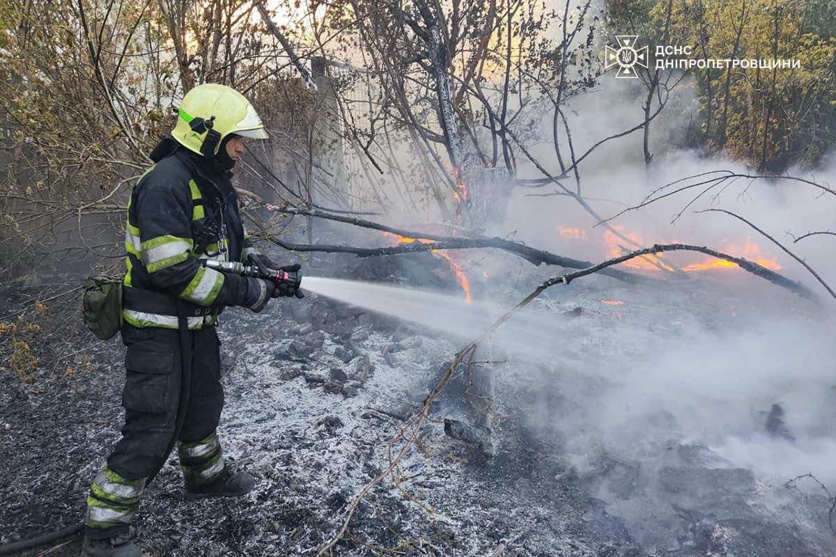 На Дніпропетровщині за добу вигоріло понад 52 га екосистем