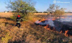 На Дніпропетровщині за добу вигоріло 53 га екосистем (фото)