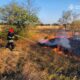 На Дніпропетровщині за добу вигоріло 53 га екосистем (фото)