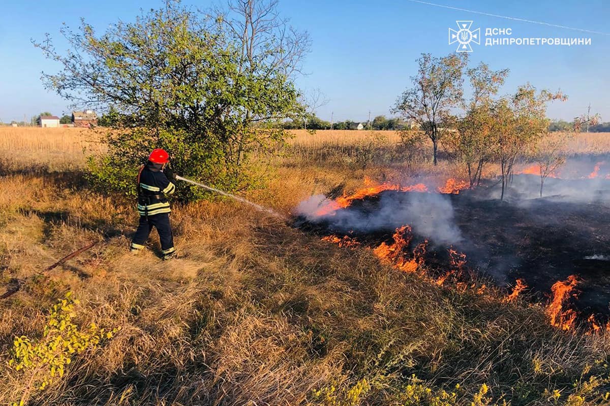 На Дніпропетровщині за добу вигоріло 53 га екосистем: фото