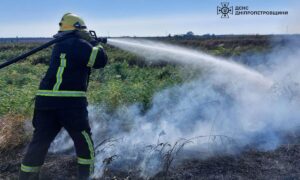 На Дніпропетровщині вигоріло понад 35 га екосистем протягом доби (фото) 4