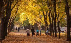 Нікополь постійно зазнає нищівних атак ворога 2