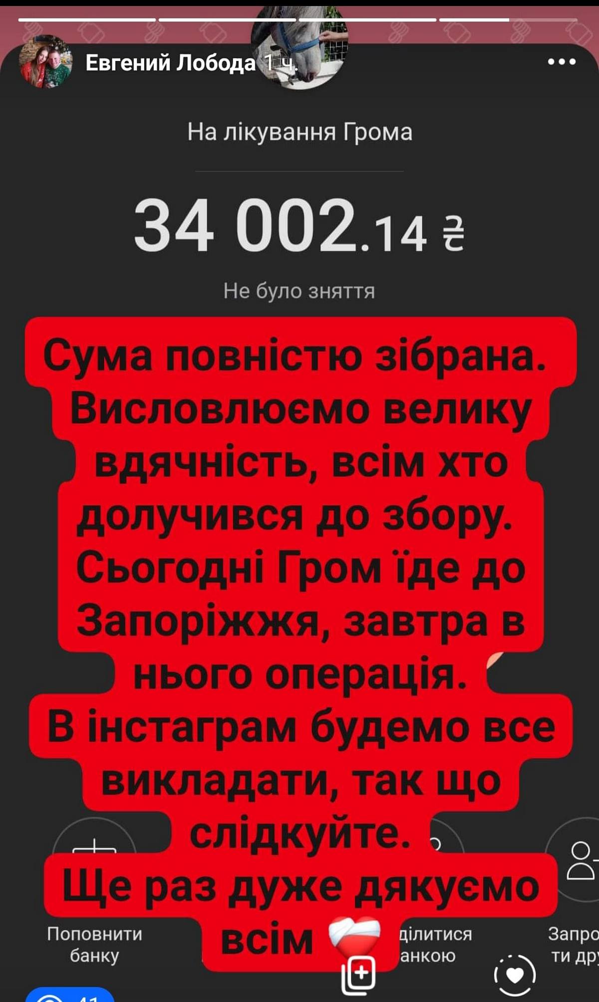 У Нікополі зібрали кошти на операцію для пораненого коня