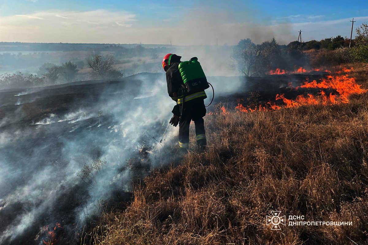 За добу на Дніпропетровщині вигоріло 45 га екосистем 2