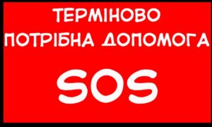 Ще 16 собак з Нікополя готові прийняти у Польщі: потрібна допомога!