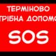 Ще 16 собак з Нікополя готові прийняти у Польщі: потрібна допомога!