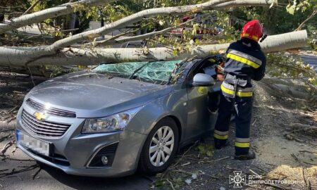 У Покрові дерево впало на машину з людьми