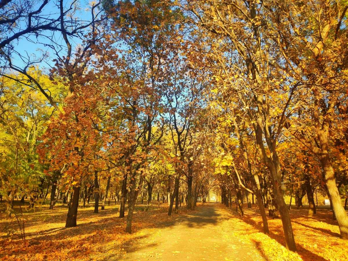 Нікополь, парк Металургів