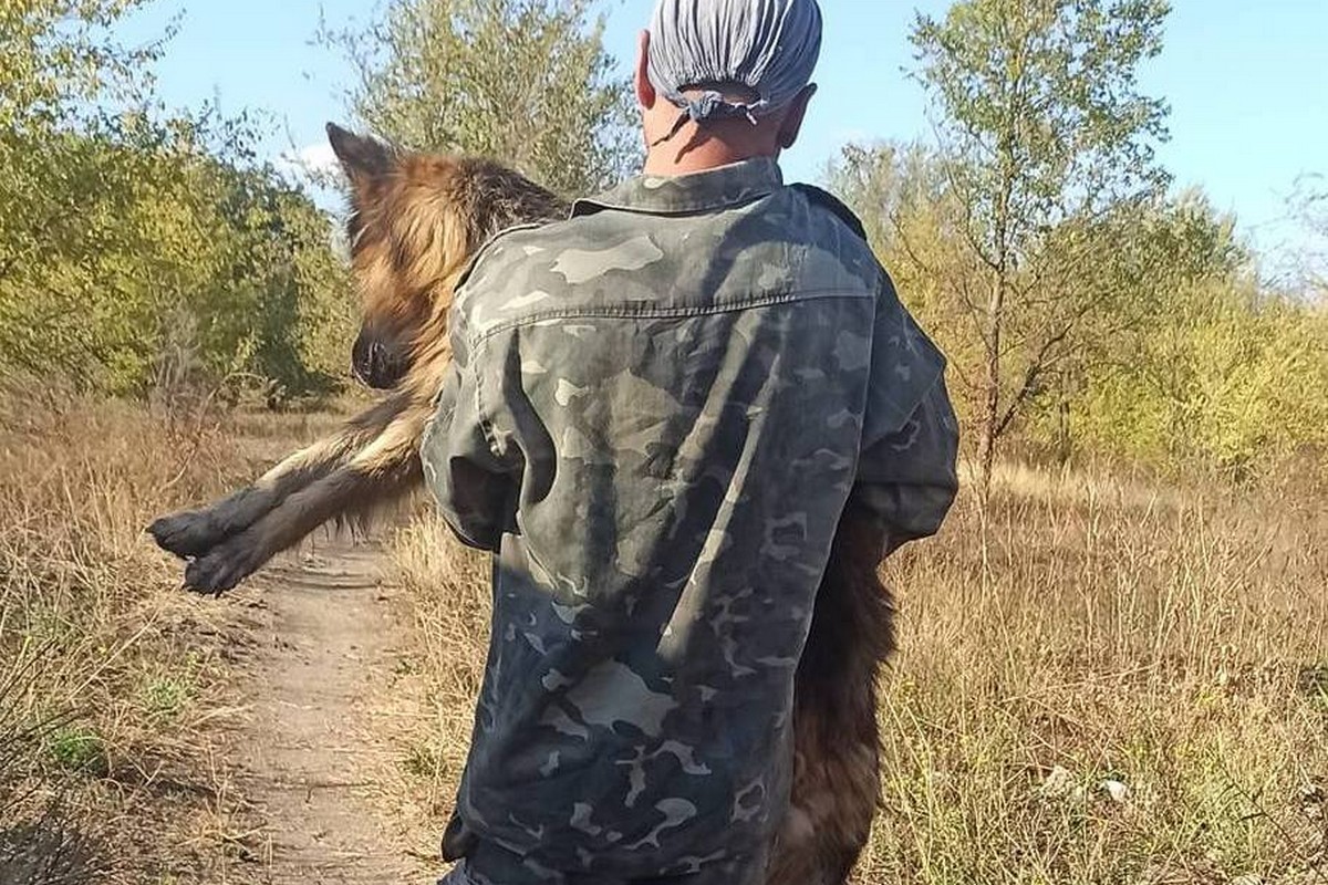 Мітяй, таксист «Огоньок» і «Добрий доктор»: у Нікополі пройшла операція «Врятувати Лінду» 1 Мітяй, таксист з «Огоньок» і «Добрий доктор»: у Нікополі пройшла операція «Врятувати Лінду»
