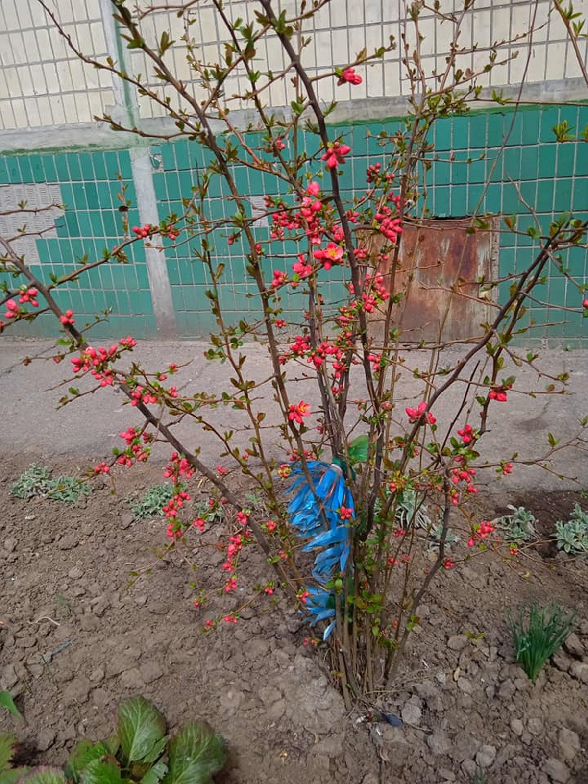 «Ставлять на лавочку пакетик, бо вже знають, що я тут живу»: непомітні волонтери Нікополя – хто вони