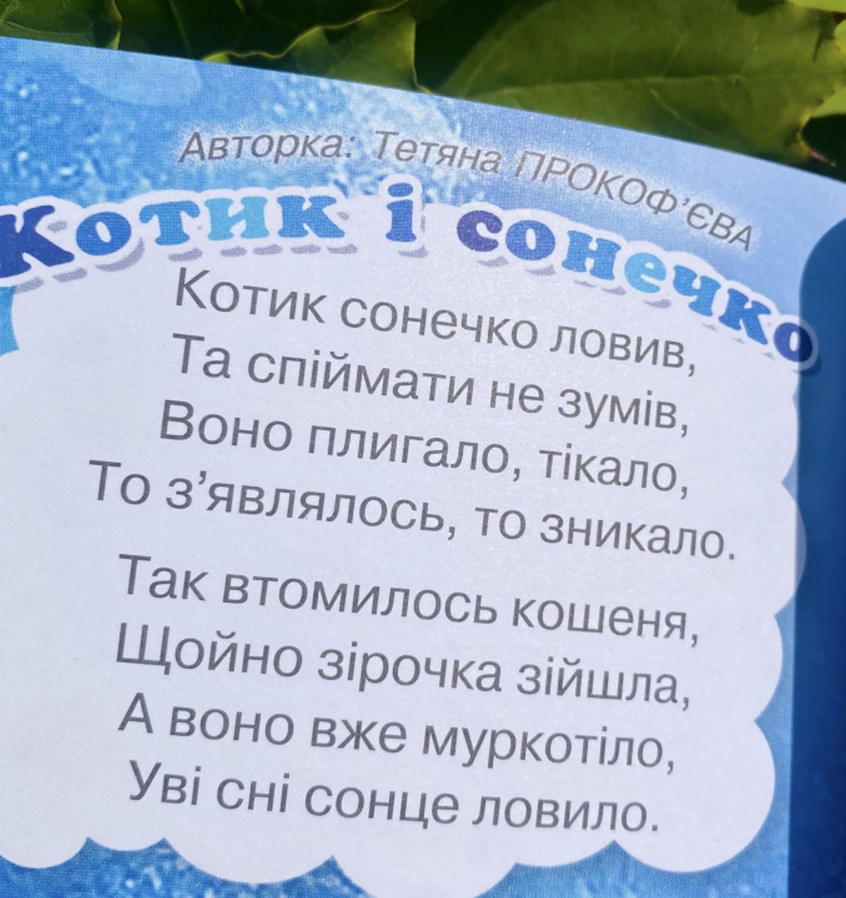 Відомі люди Нікопольщини: вчителька з Покрова пише вірші, які знають по всій Україні