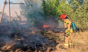 На Дніпропетровщині за добу вигоріло 70 га екосистем (фото)