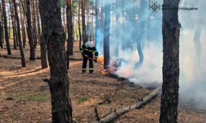 1000 рятувальників приборкували вогонь: на Дніпропетровщині оголосили найвищий рівень пожежної небезпеки