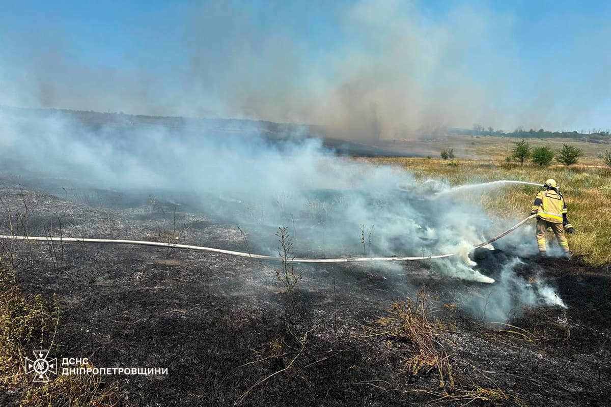 На Дніпропетровщині за добу вигоріло 60 га екосистем: фото